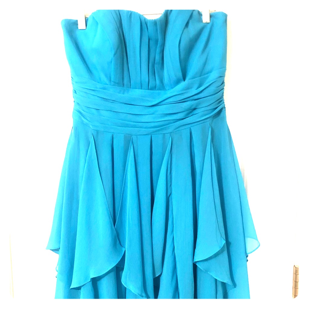 David’s Bridal Strapless Dress